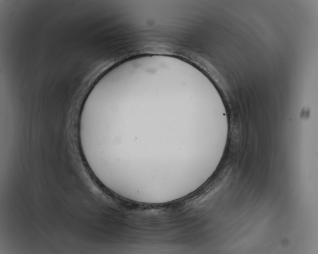 X0000103330433200809261204