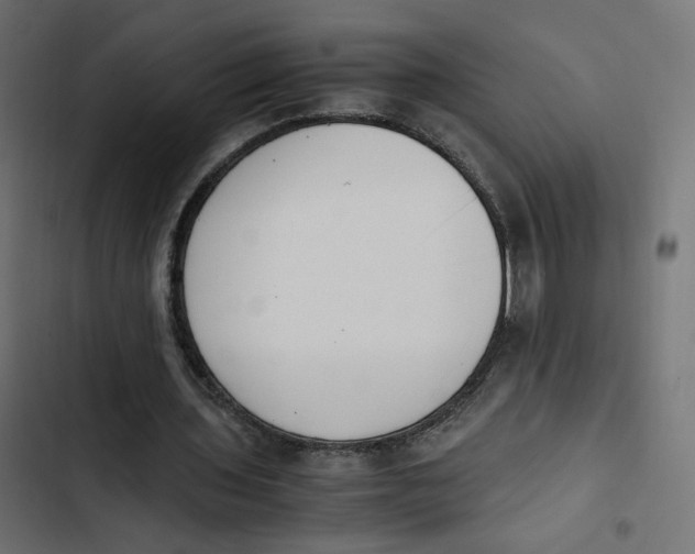 X0000103330435200809261204