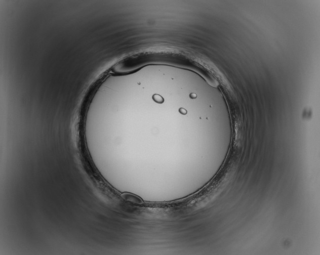 X0000103330436200809261204