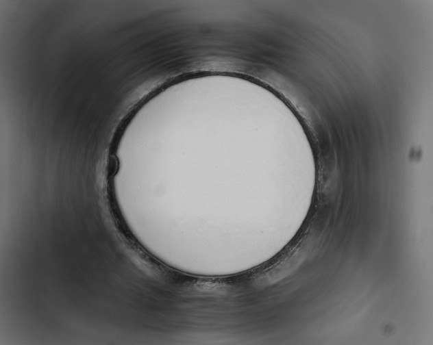 X0000103330437200809261204