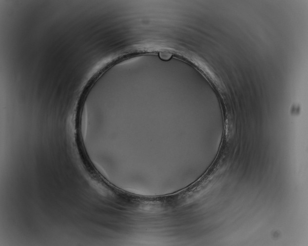 X0000103330438200809261204