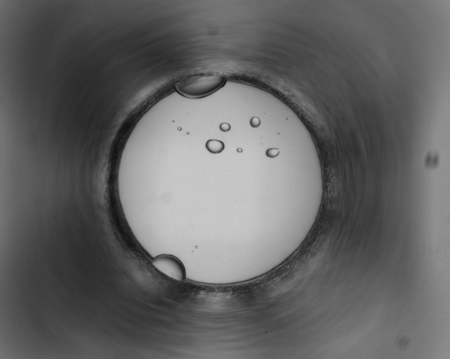 X0000103330440200809261205