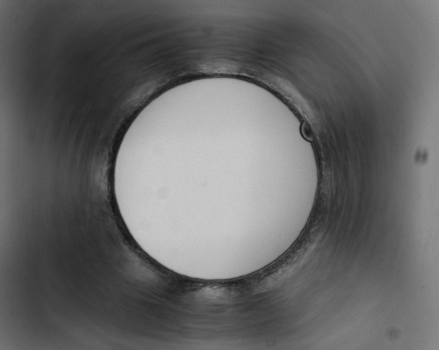 X0000103330441200809261205