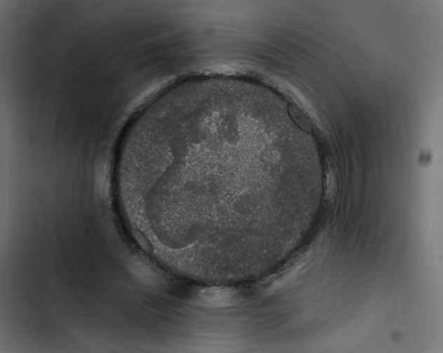 X0000103330444200809261205