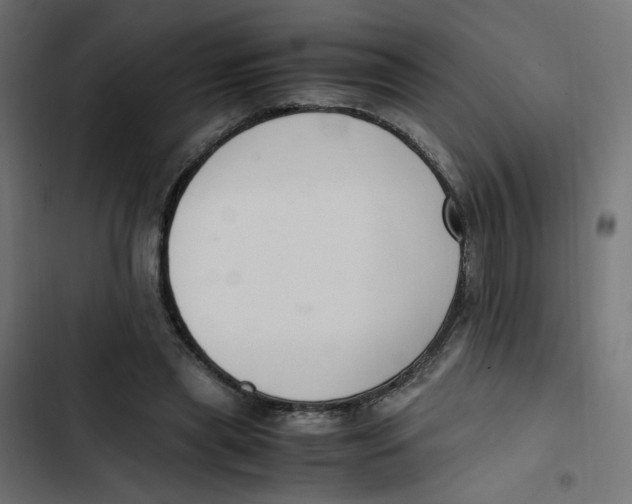 X0000103330445200809261205