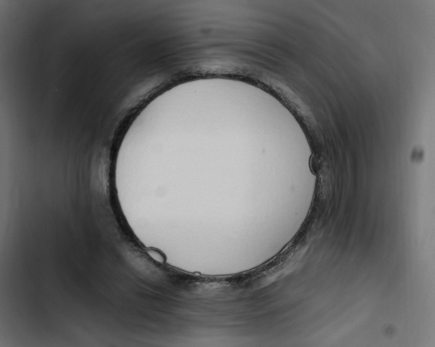 X0000103330446200809261205