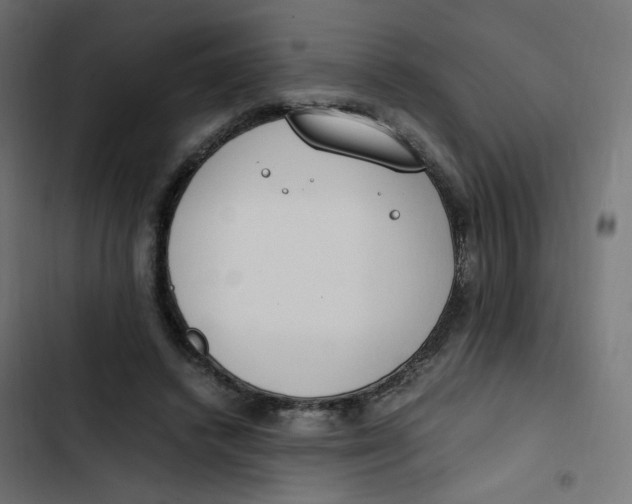 X0000103330448200809261205