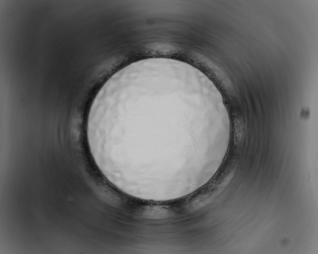 X0000103330451200809261205