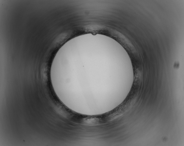 X0000103330452200809261205