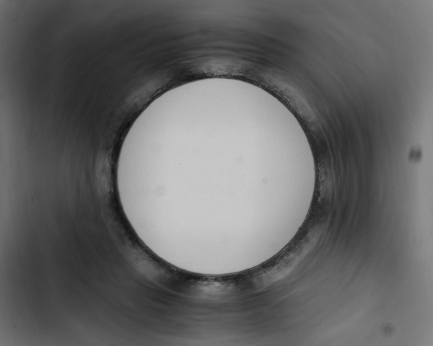 X0000103330453200809261205