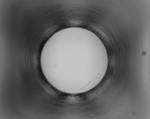 X0000103330455200809261205