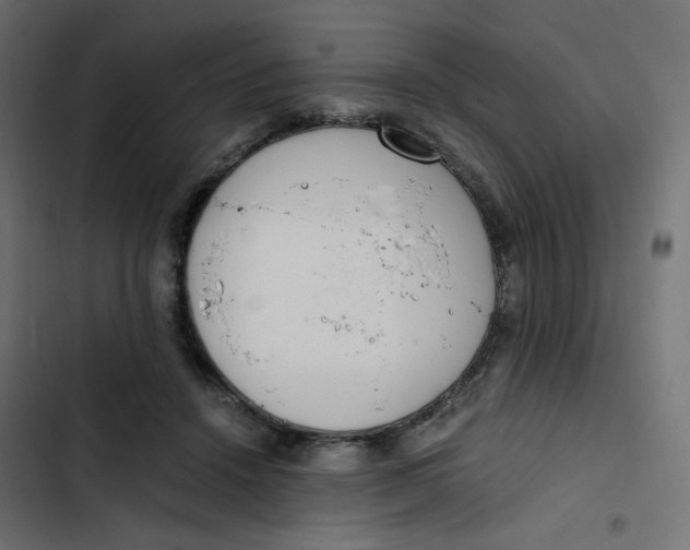 X0000103330456200809261205