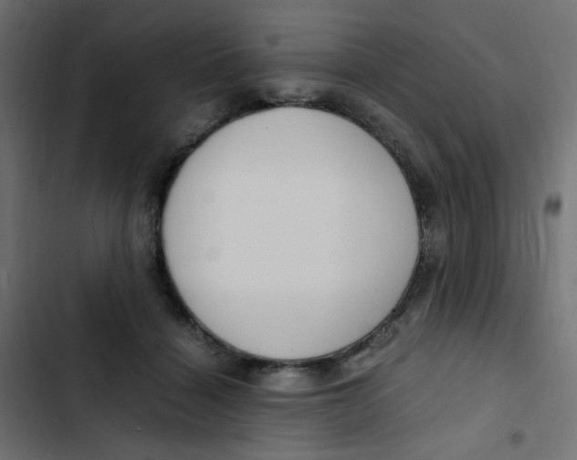 X0000103330460200809261205