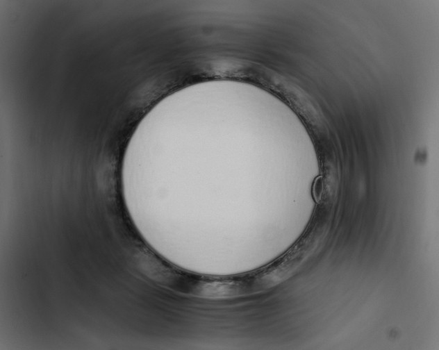 X0000103330461200809261205