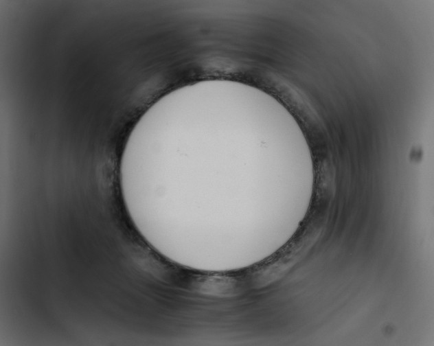 X0000103330463200809261205