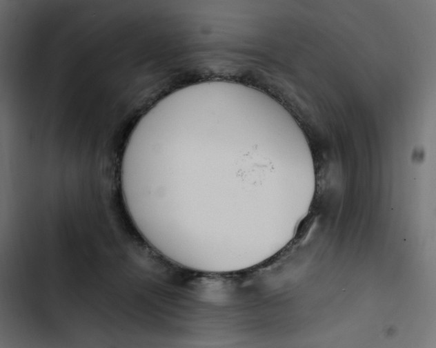 X0000103330464200809261205