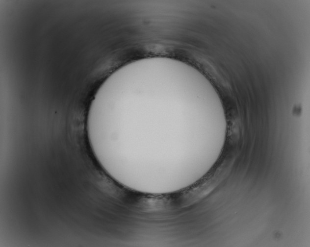 X0000103330466200809261205