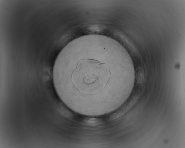 X0000103330467200809261205