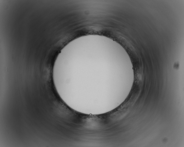 X0000103330468200809261205