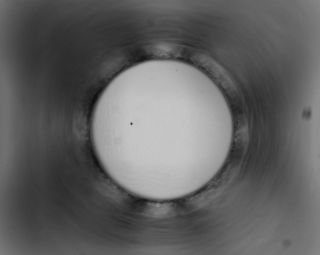 X0000103330469200809261205