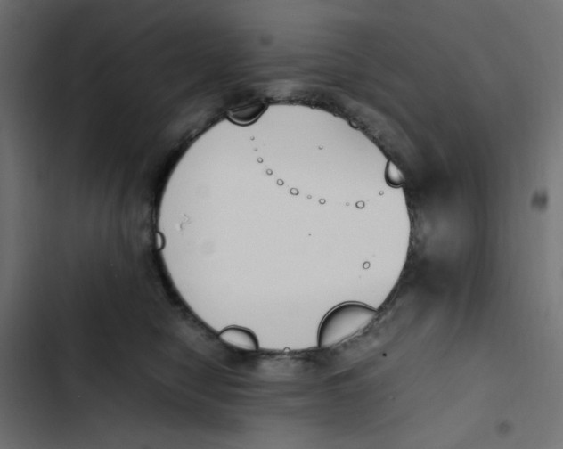 X0000103330470200809261205