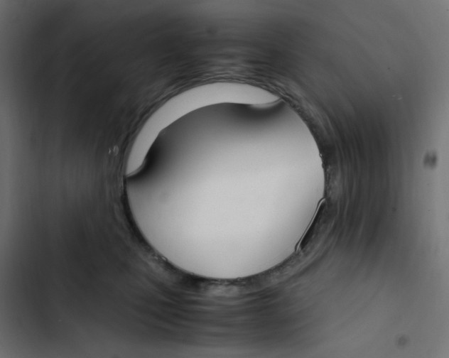 X0000103330471200809261205