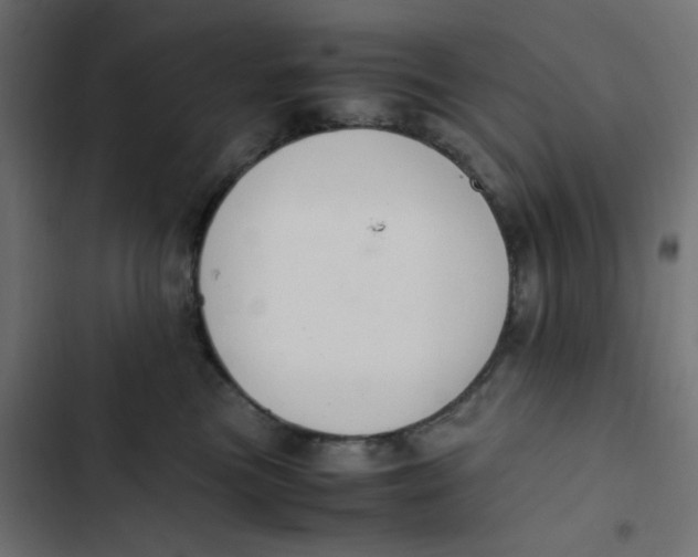 X0000103330473200809261205