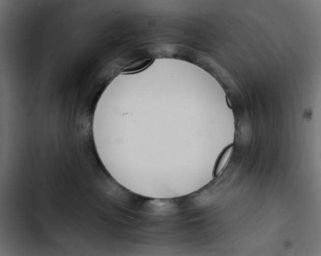 X0000103330477200809261205