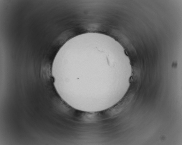 X0000103330479200809261205