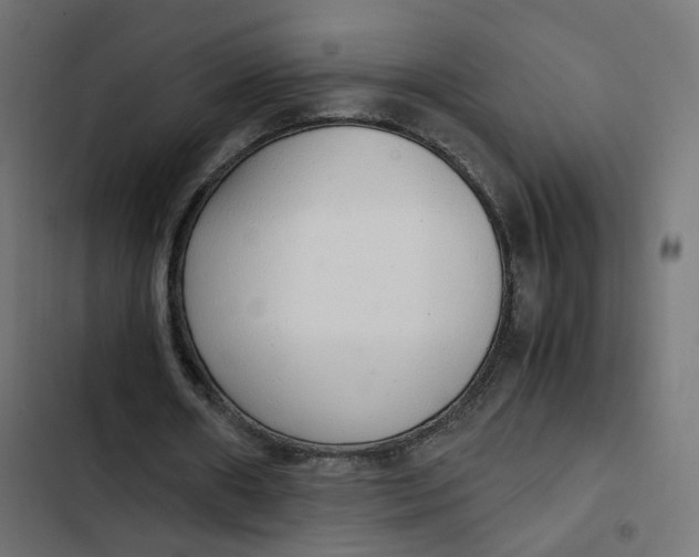 X0000103330482200809261204