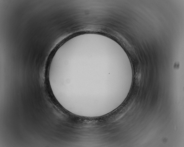 X0000103330484200809261204