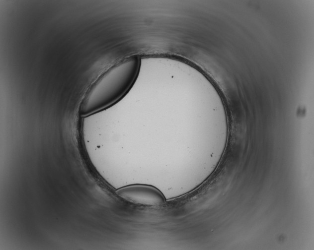 X0000103330485200809261204