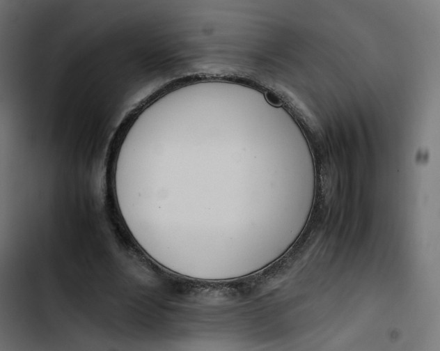 X0000103330488200809261204