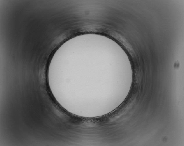 X0000103330489200809261204