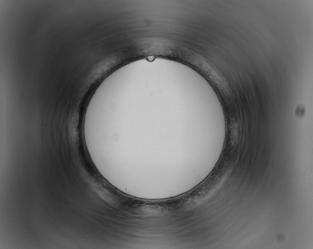 X0000103330490200809261204