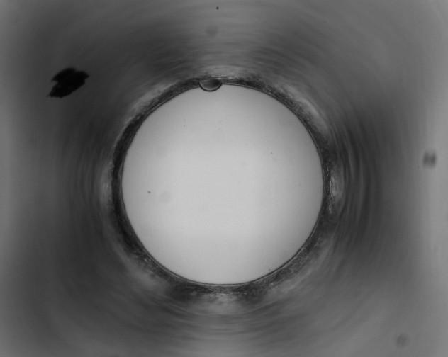 X0000103330492200809261204