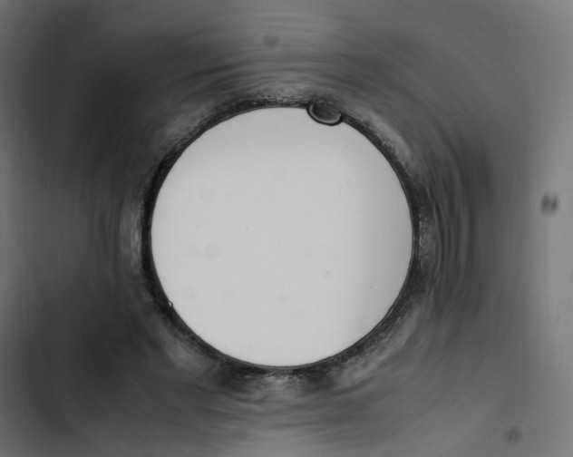 X0000103330493200809261204