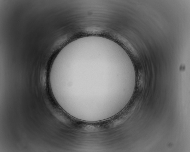 X0000103330494200809261204