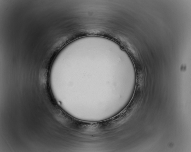 X0000103330495200809261204