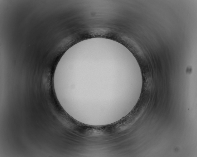 X0000103330498200809261204