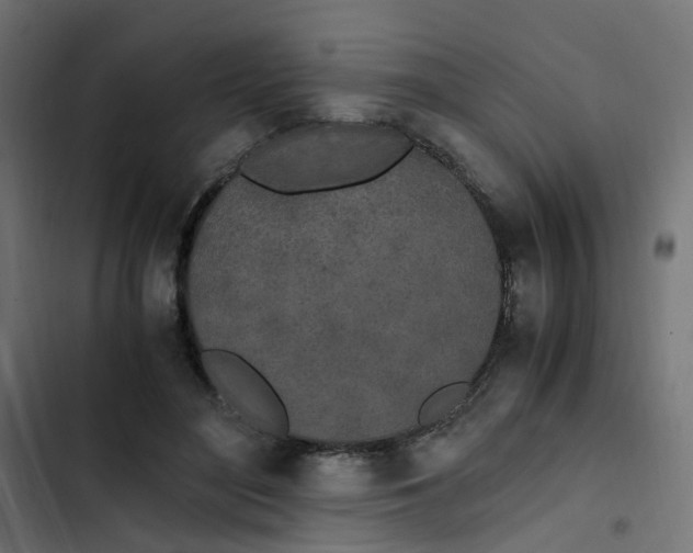 X0000103330500200809261204