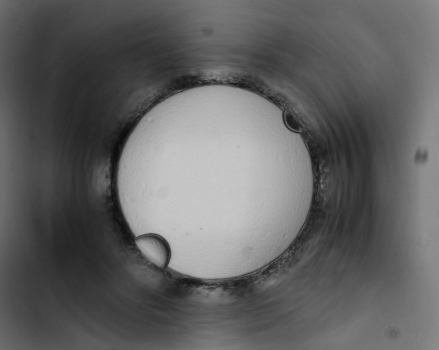 X0000103330502200809261204