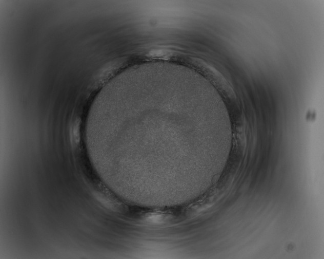 X0000103330504200809261204