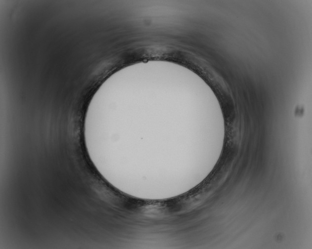 X0000103330505200809261204