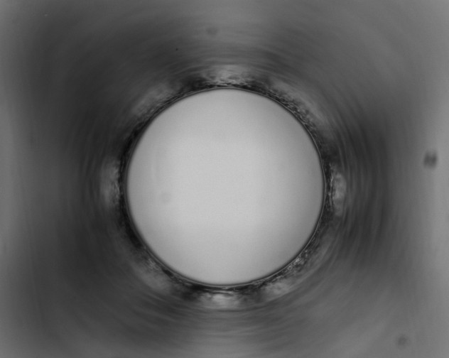 X0000103330506200809261204