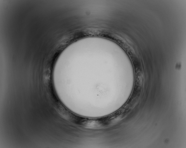 X0000103330507200809261204