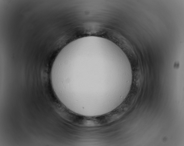 X0000103330510200809261204