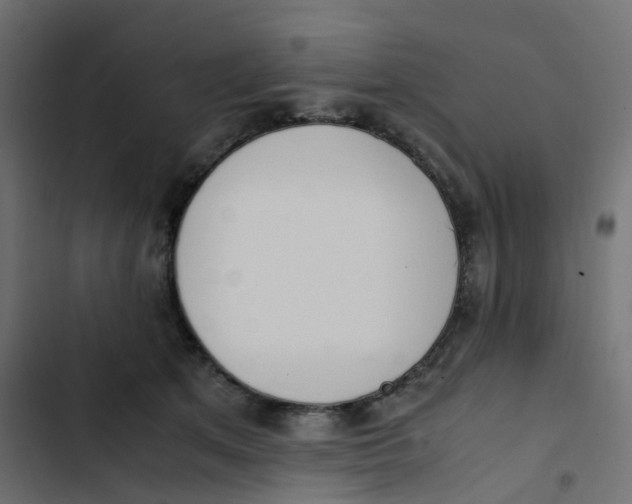 X0000103330513200809261204