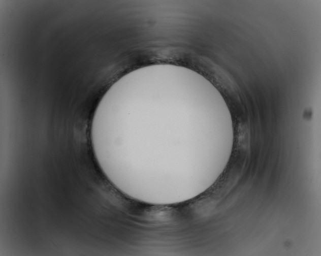 X0000103330514200809261204