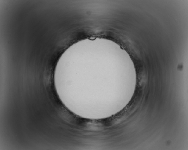 X0000103330515200809261204